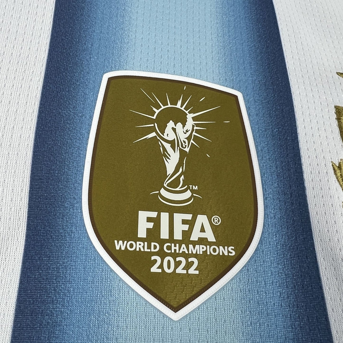 Maillot Domicile Argentine 2026